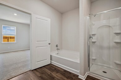 Primary Bathroom comes with a separate soaking tub