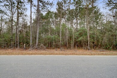 0 Alligator Ln, Andrews SC (2)