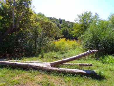 3955 Lego School Rd, Linden, TN 37096 - photo 2