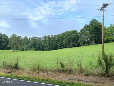 IMG_7766 (Medium) (2)