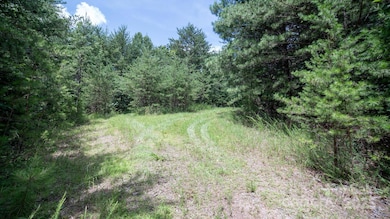 00 Dave Chester Rd, Lenoir, NC 28645 - photo 4