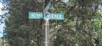 11124 Sunset Ave, Magnolia, TX 77354 - photo 2