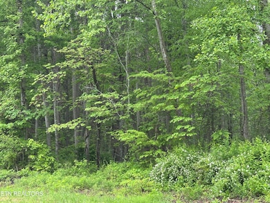 8472 Highway 25 W N, Duff, TN 37729 - photo 4