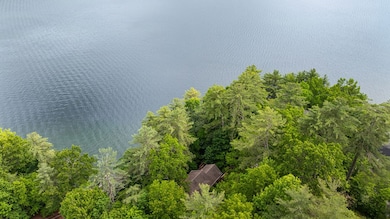 Aerial View of Roof, trees and Lake