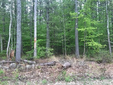 Lot 3 N Wakefield Rd unit Lot 1 on tax map, Wolfeboro, NH 03894 - photo 4