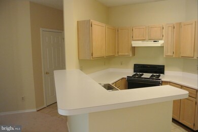 13089 Autumn Woods Way unit 201, Fairfax, VA 22033 - photo 3