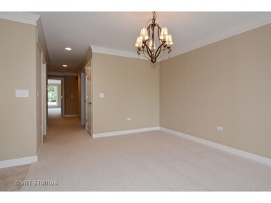 206 N Water St unit 203, Batavia, IL 60510 - photo 7