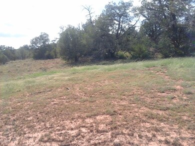 Lot 160 Juniperwood Ranch, Ash Fork, AZ 86320 - photo 5