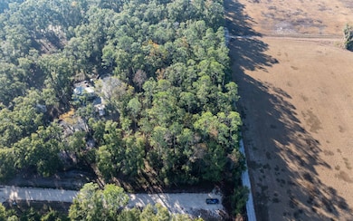 LT 16 280th Terrace, Branford, FL 32008 - photo 5