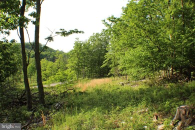 38.71ac Lower Timber Ridge Rd, Seneca Rocks, WV 26884 - photo 6