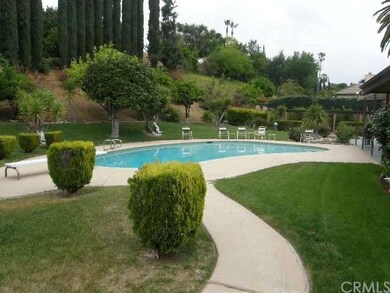 Rear Yard and Pool area