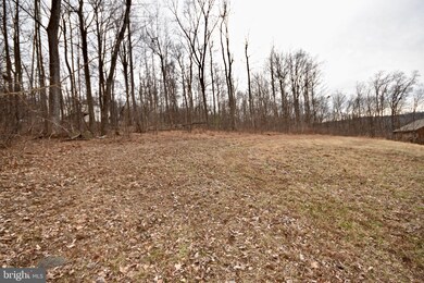 500 Mcdonalds Farm Rd, Linden, VA 22642 - photo 4