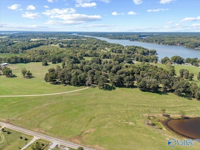 19660 Cox Rd, Athens, AL 35611 - photo 5