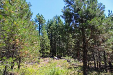 Potential Building Site