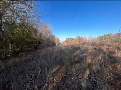 305 Lawtonwood Ln, Spartanburg, SC 29376 - photo 5