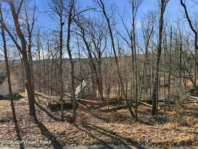 1667 Sec 7 Glasglow Dr, Bushkill, PA 18324 - photo 4