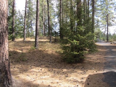 X E Emily Ln, Spokane, WA 99208 - photo 7