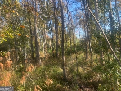 (TRACT 7) Jd Williams Rd, Cadwell, GA 31009 - photo 2