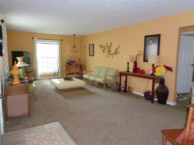 Extended Living Room