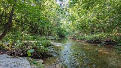 Land for sale in the Ozarks3