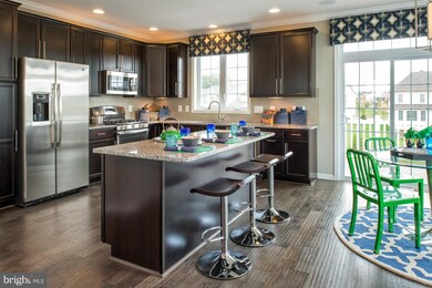 23253 Carters Meadow Terrace, Ashburn, VA 20148 - photo 4