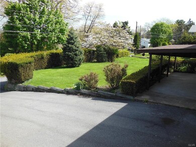 Rear yard and driveway