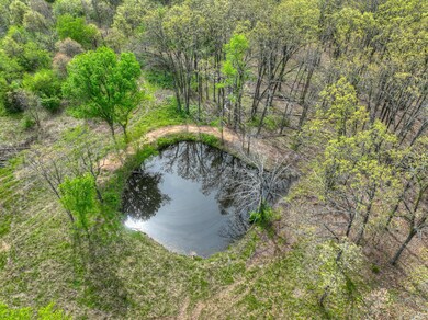 Spring fed pond