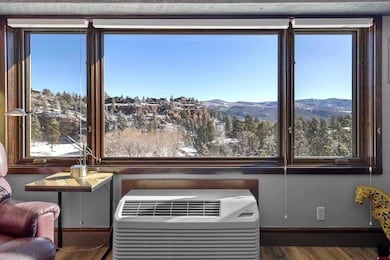 314 N Tamarron Dr unit 203, Durango, CO 81301 - photo 5