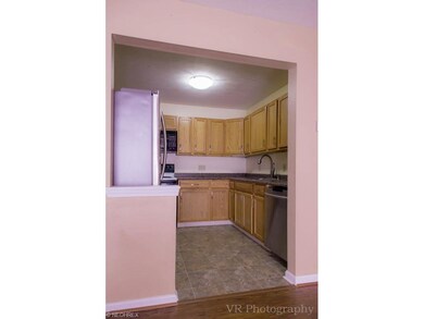 714 Gold Leaf Ct, Streetsboro, OH 44241 - photo 7