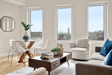 16 Taber St unit 501, Boston, MA 02119 - photo 6