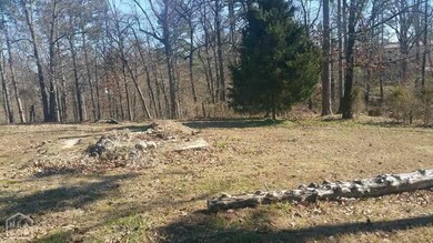 1568 Greene 626 Rd, Paragould, AR 72450 - photo 7