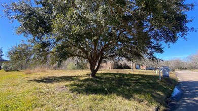 5410 Appleblossom Ln, Friendswood, TX 77546 - photo 4