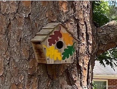 817 Emeline Ave, Fayetteville, NC 28303 - photo 6