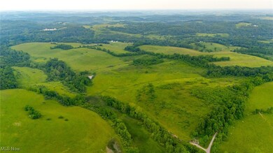 0 Piney Fork Rd, Dillonvale, OH 43917 - photo 3