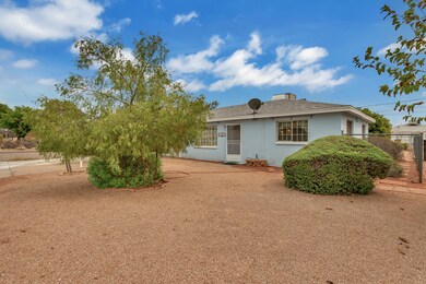 QPT_Photo_-__L1A2207