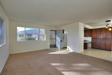 Living/Kitchen