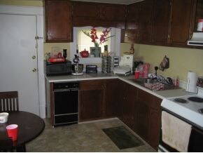 316 W Locust St, Johnson City, TN 37604 - photo 7