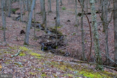 Lot 33 Beech Ln, Capon, WV 26801 - photo 6