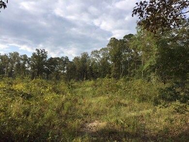 x Morris Rd, Camilla, GA 31730 - photo 5