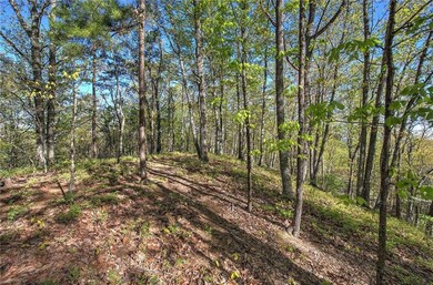 View of woods