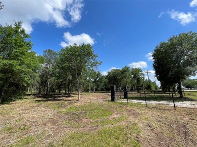 Tract 4 Farm To Market 362, Waller, TX 77484 - photo 4