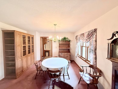 110 Chad St, Licking, MO 65542 - photo 5