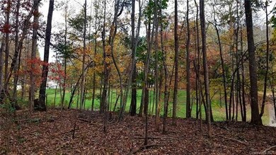 Lot #123 Lot View Toward Timberlane Trail