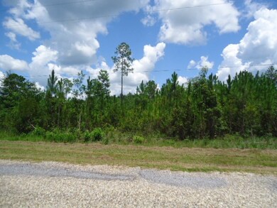 27086 Quail Ln, Perkinston, MS 39573 - photo 4