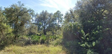 2412 Mabry St, Alva, FL 33920 - photo 2