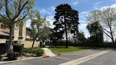 Photo Apr 13 2023, 11 56 34 AM