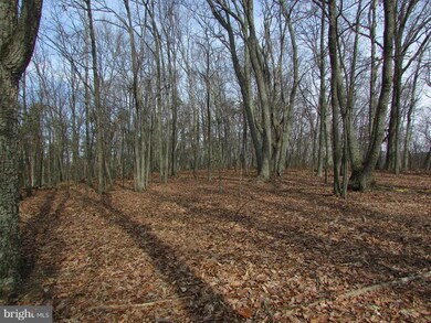 0 Cups Hollow, Sherman, WV - photo 5