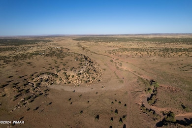 137 Acr 8461, Concho, AZ 85924 - photo 4