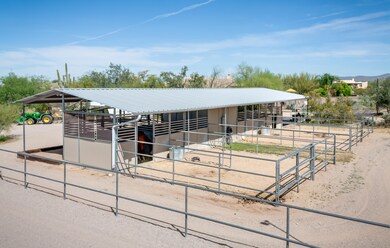 Horse Stables