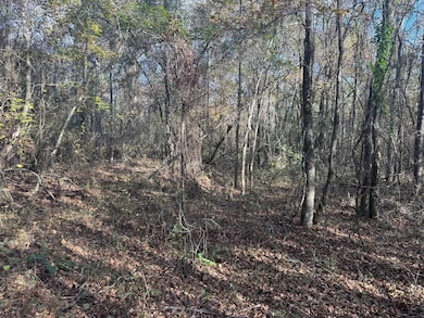 00 County Road 4026, Kosciusko, MS 39090 - photo 3